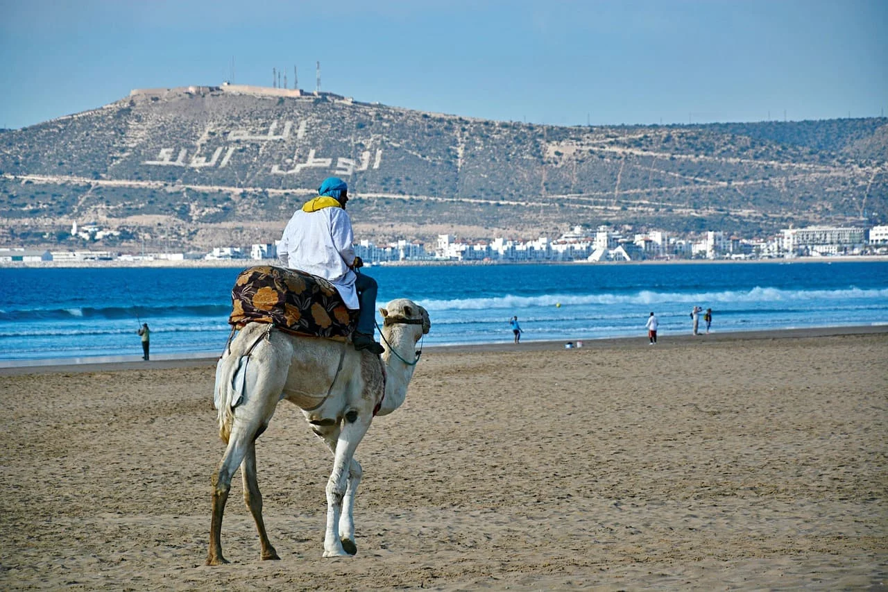 Marrakesh ⇄ Agadir